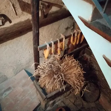 Lantställe Cal Gorro Arnés