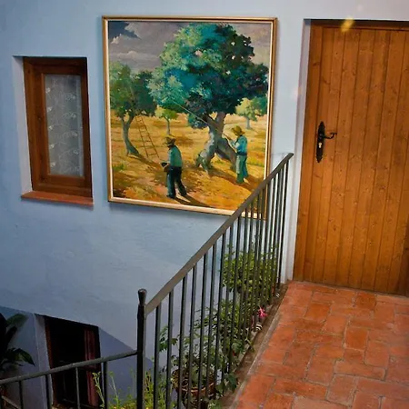Casa de Campo Cal Gorro Arnés